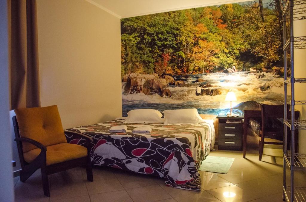 伦索伊斯-保利斯塔Hotel Pousada Do Leão的卧室里有一张床，墙上挂着一幅画