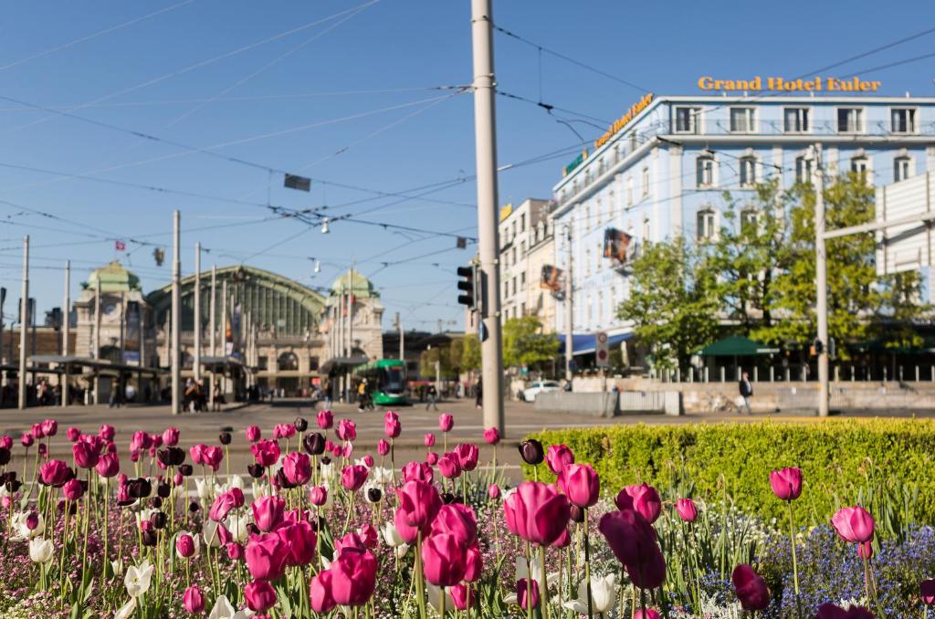 Zahrada ubytování Hotel Euler Basel