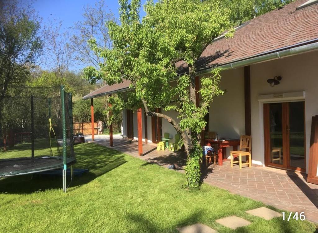 a backyard with a tree and a house at Pálköve Apartmanház in Kővágóörs
