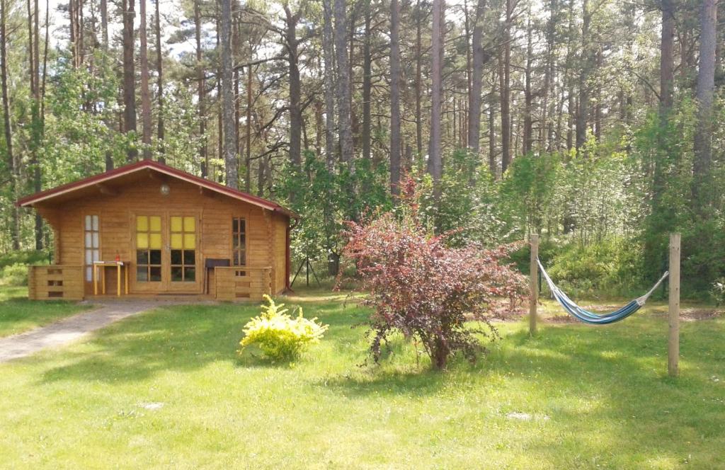 a log cabin with a hammock in a yard at Viesu māja Klētnieki in Ģipka