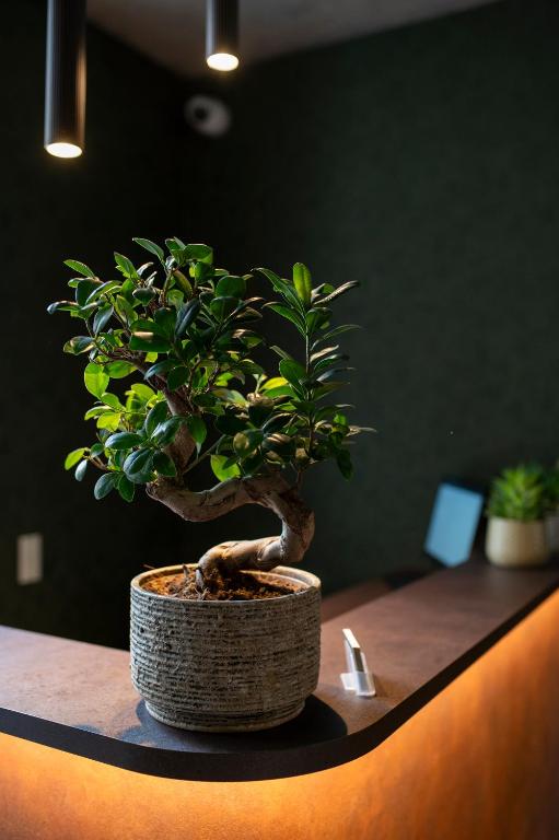 Hotel Sandkorn - Resim 22