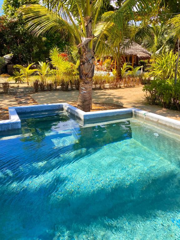 a swimming pool with a palm tree in the middle at Dicilaba Lodge in Sainte Marie