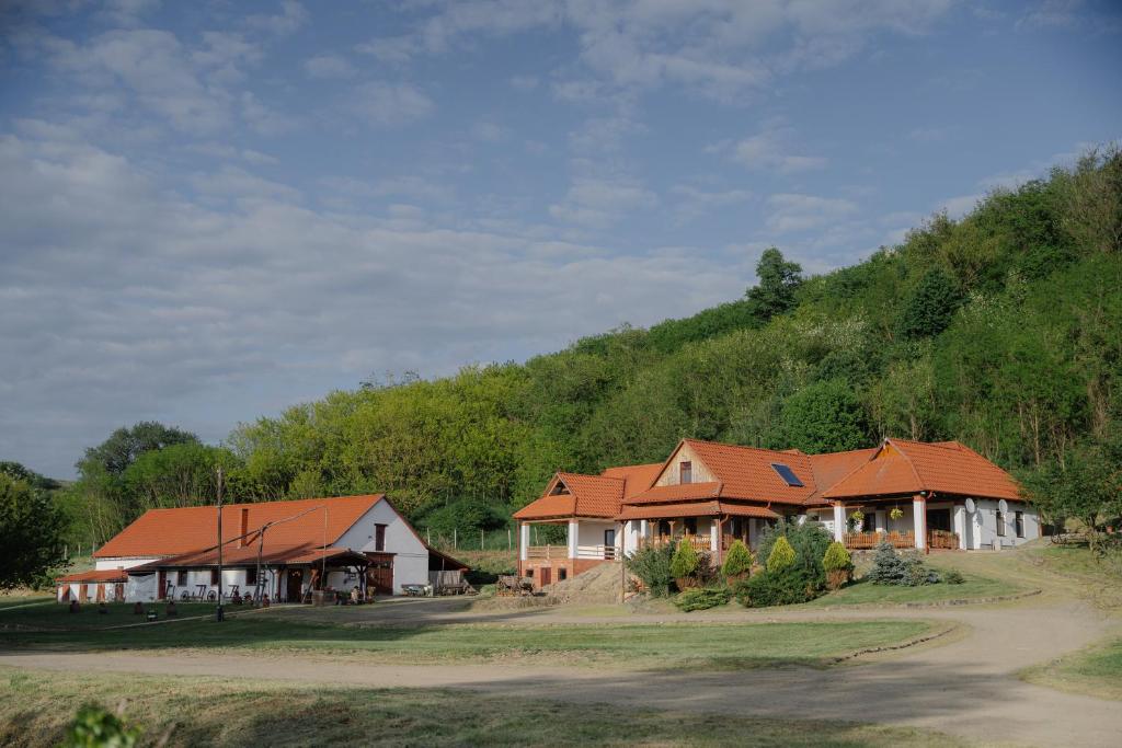 a group of houses with red roofs on a hill at Baglyas Birtok Rendezvény-és Vendégház in Nógrádmegyer