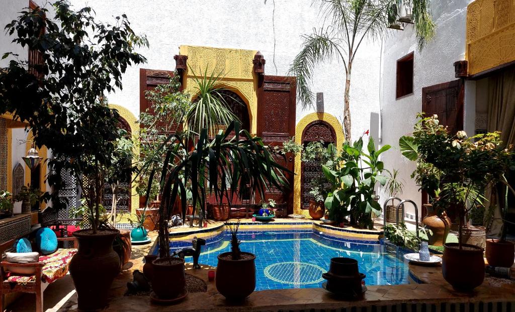 a courtyard with a swimming pool with potted plants at Palais AL Firdaous in Fez