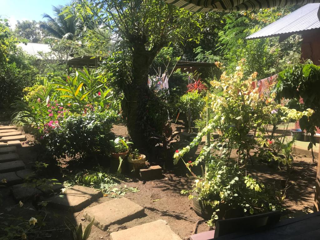 Chez Nina CH, Taputapuapea - photo 5 - Raiatea, Polynésie
