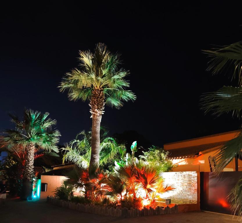 un grupo de palmeras frente a un edificio en Argeles Mobil'holidays del mar camping 222, en Argelès-sur-Mer