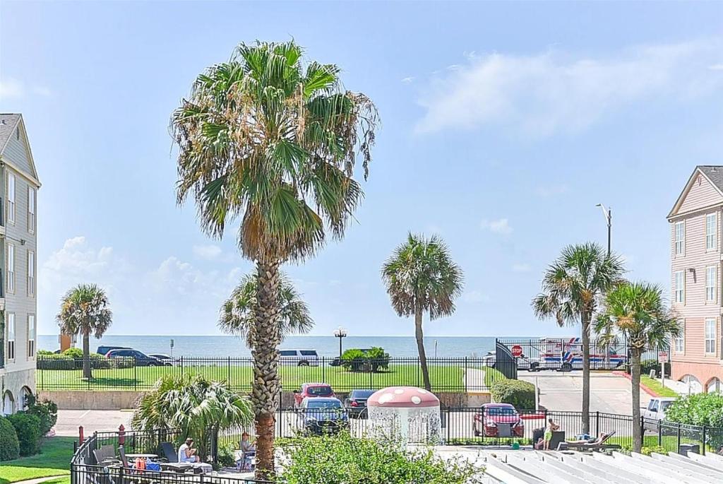 eine Palme vor einem Gebäude mit dem Meer in der Unterkunft Ocean Views steps to beach - Shoreline Stays 29 in Galveston