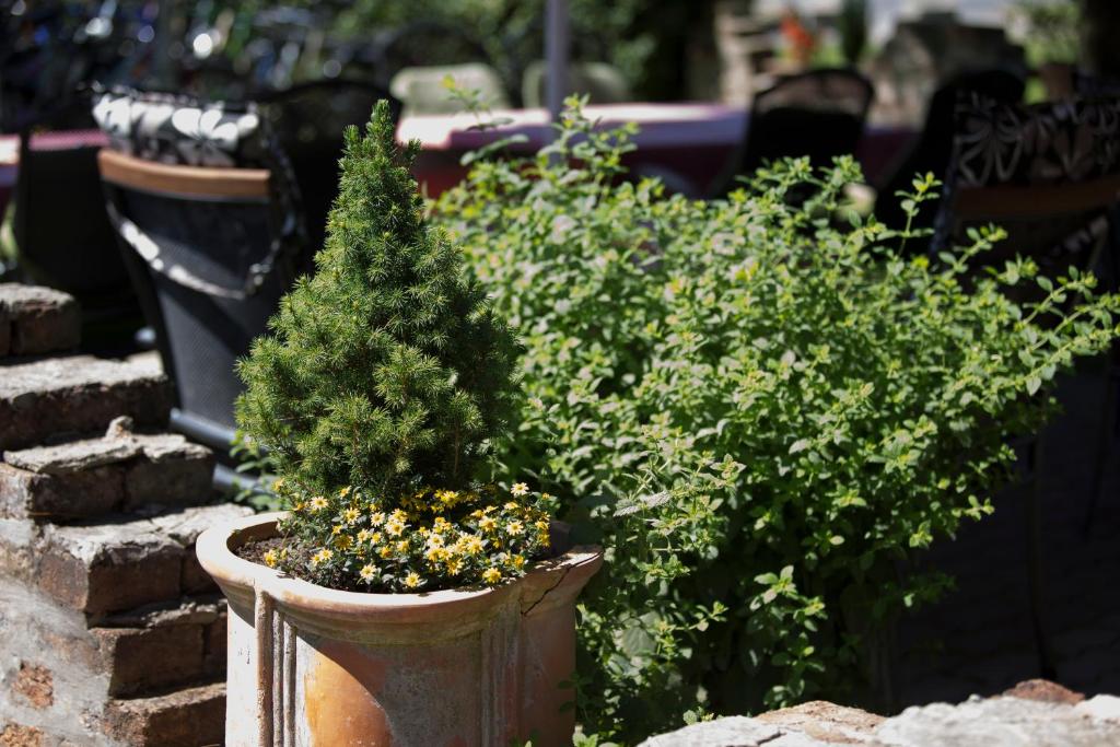 Zahrada ubytování Hotel Zéta