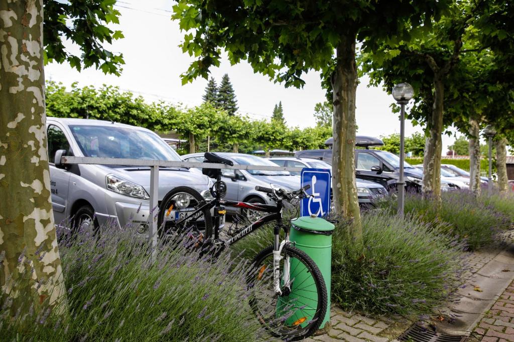 Hotel Tabor Maribor - Resim 32