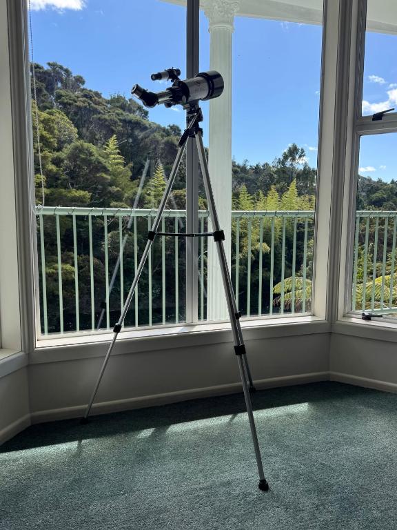 Paihia Jewel - Resim 31