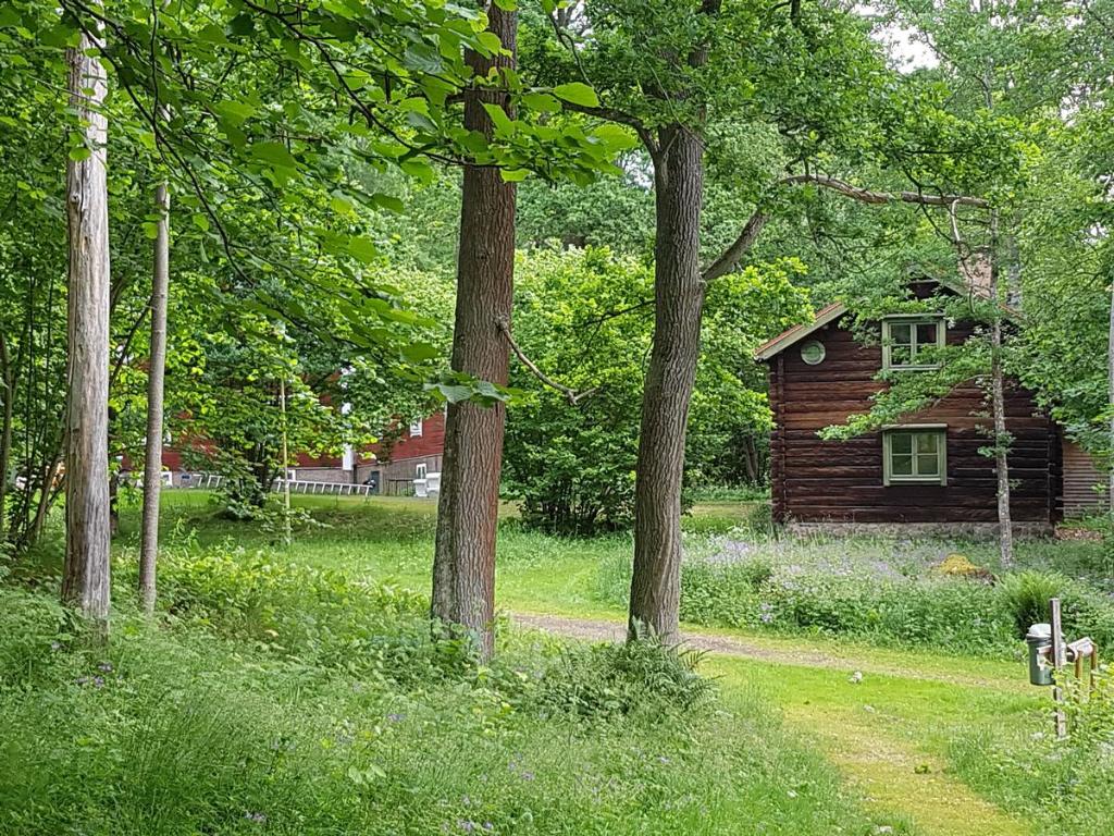 Zahrada ubytování Tranås Vandrarhem