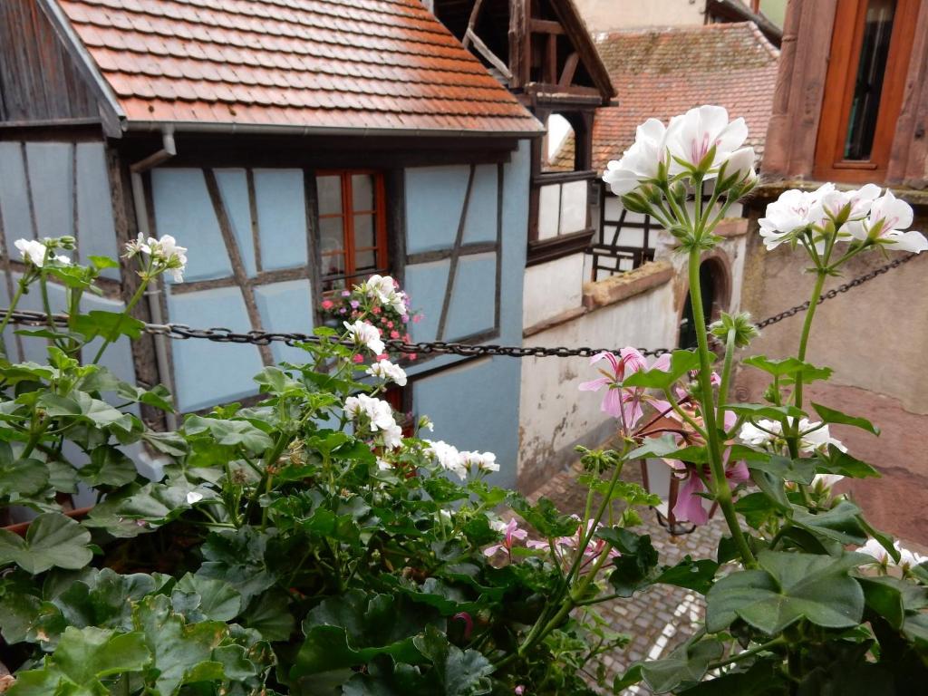 An apartment in a 17th century wine grower s house – photo 26