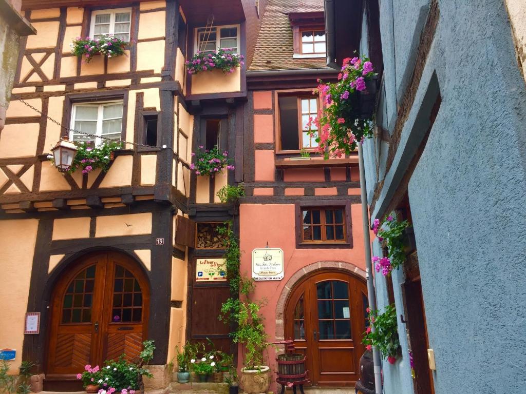 An apartment in a 17th century wine grower s house – photo 6