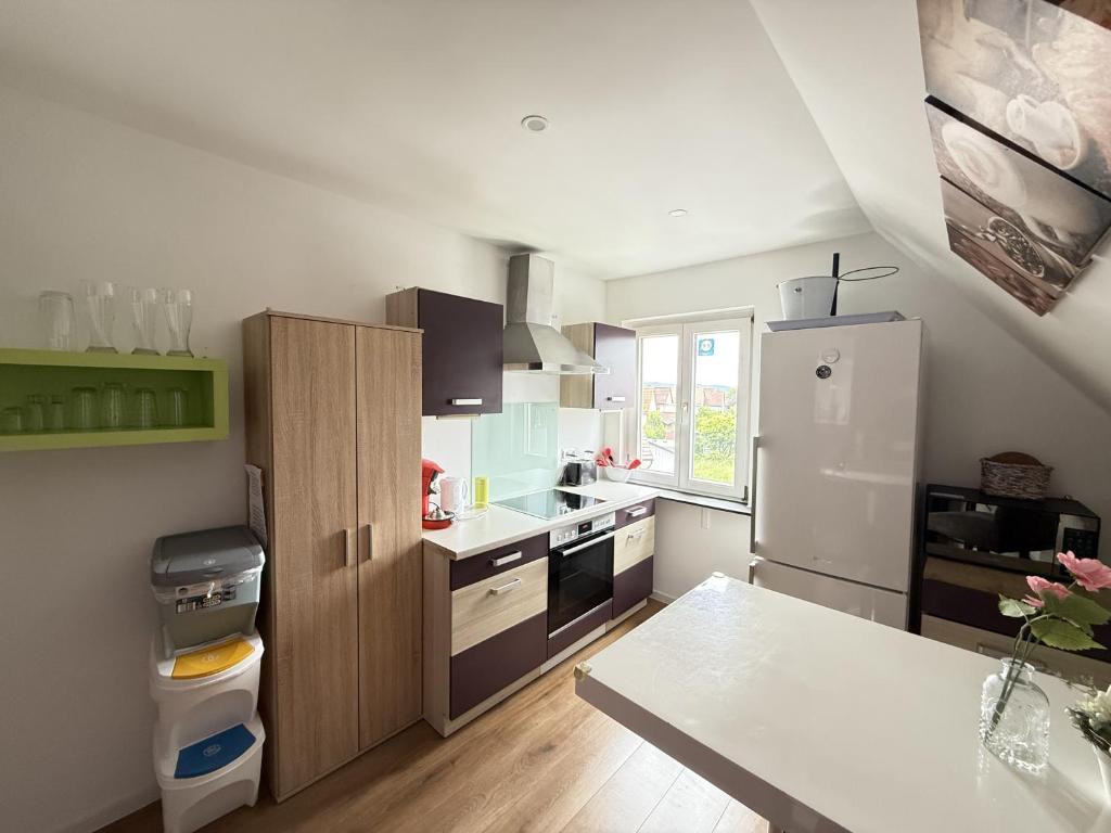 a kitchen with a refrigerator and a table in it at Charmantes Apartment in Dettingen an der Erms in Dettingen an der Erms