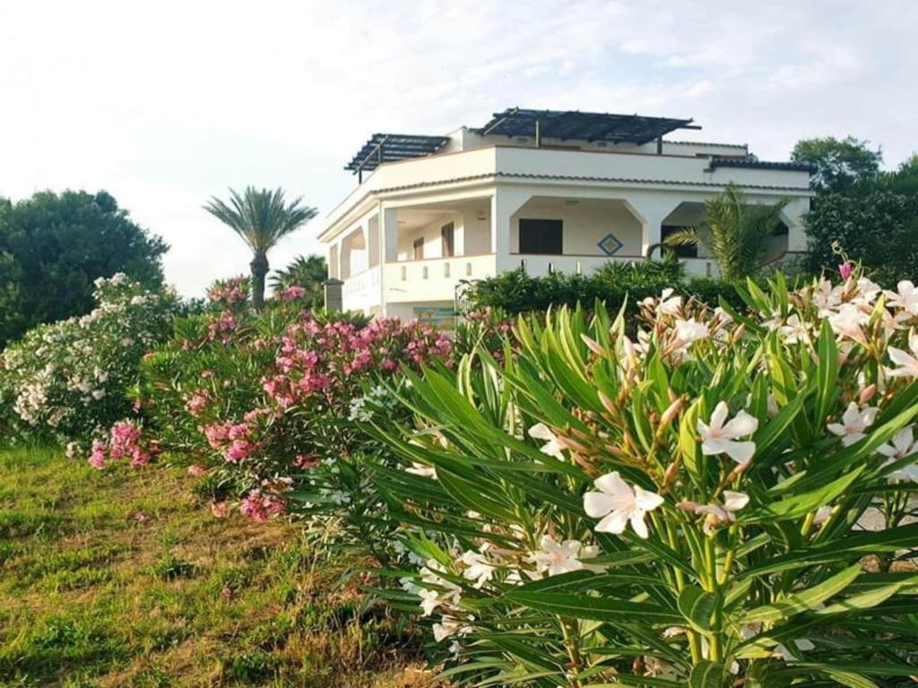 Taman di luar Apartment in Marinella di Selinunte Castelvetrano 150 m from the sea