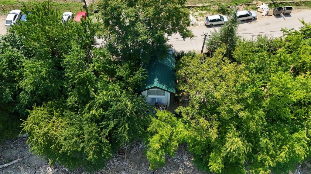 an overhead view of a green tent between trees at House Maclura Jablanica Lake in Železnička Stanica Ostrožac