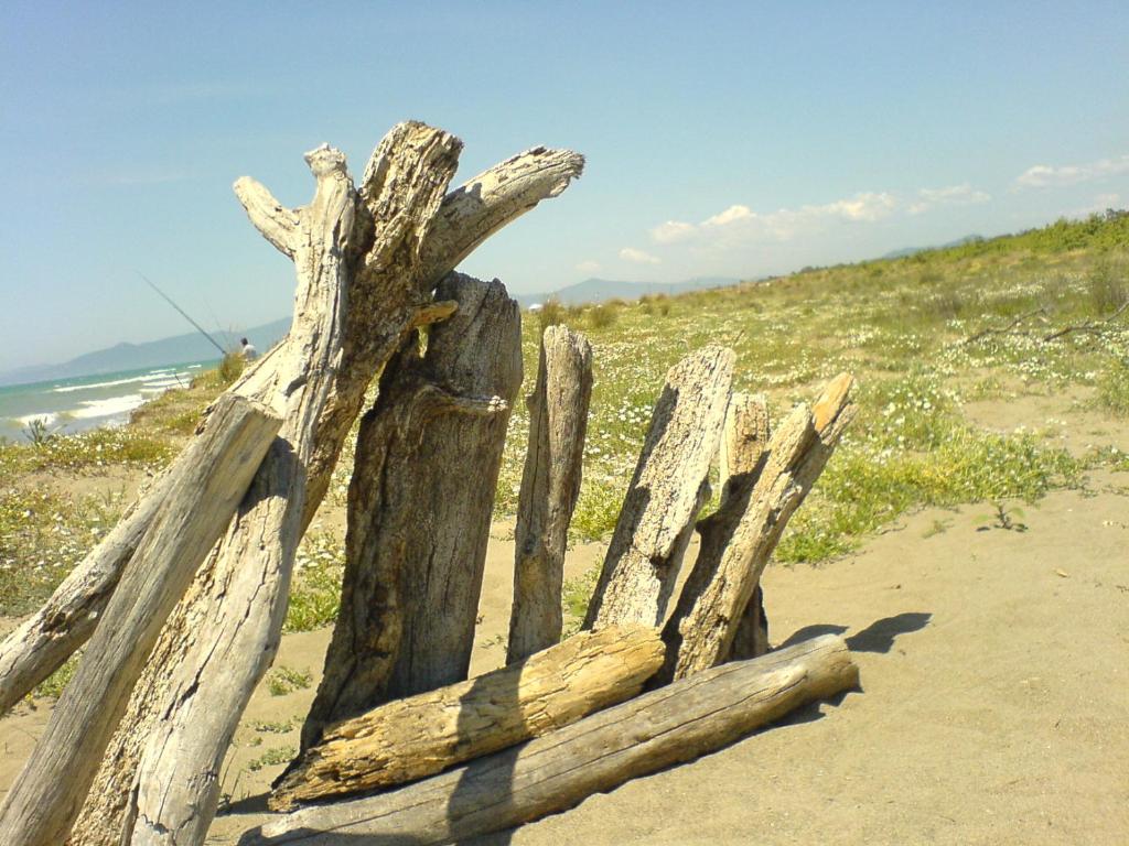 Příroda nedaleko apartmánu