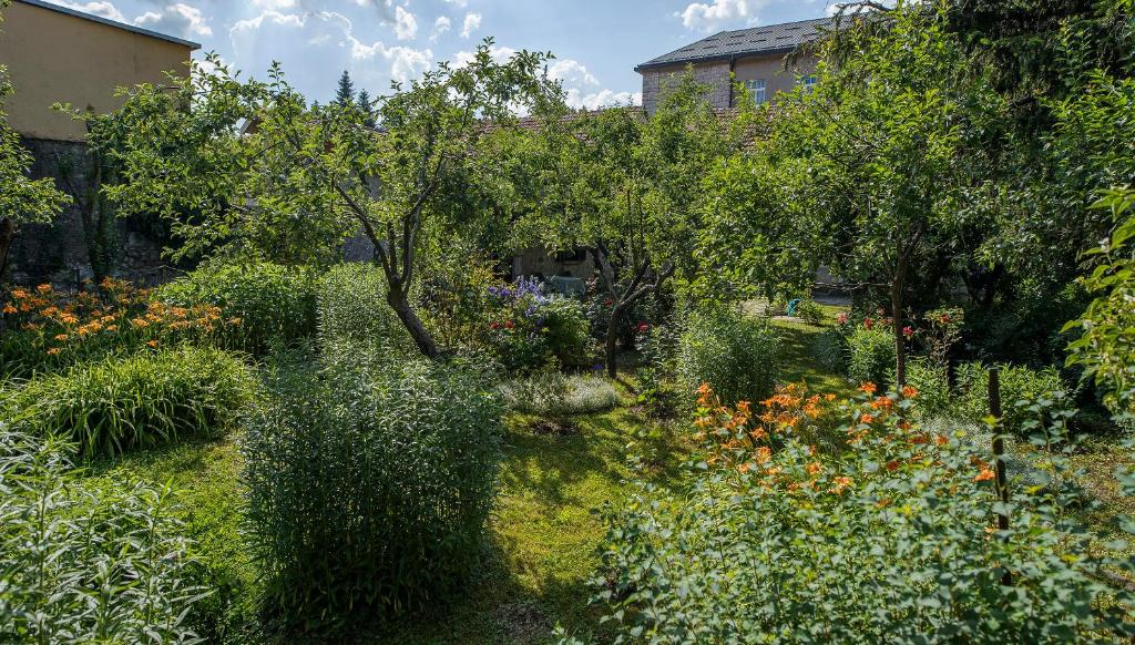 Zahrada ubytování La Vecchia Casa