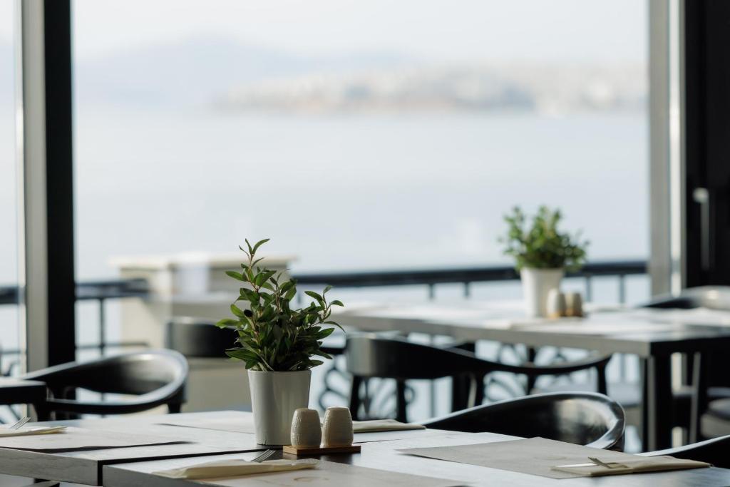 Coral Hotel Athens - Resim 19