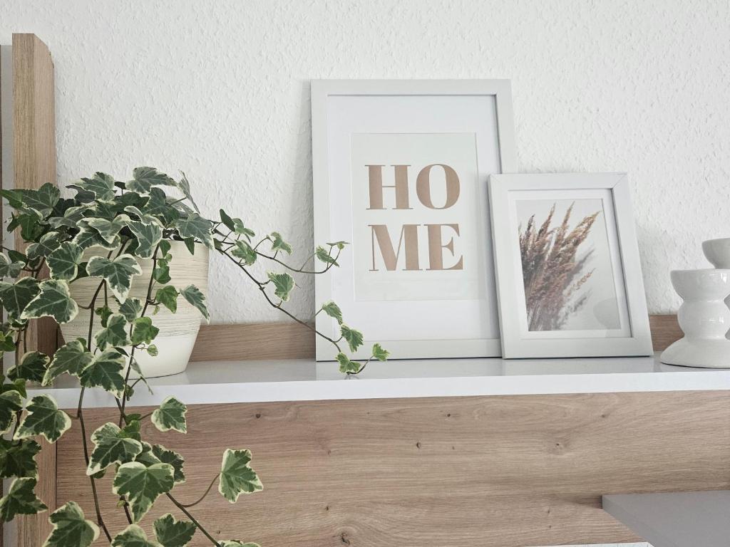 two frames sitting on a shelf with plants at Ferienwohnung Elya, Ihre Auszeit zwischen Therme, Outlet, Natur in Bad Münstereifel