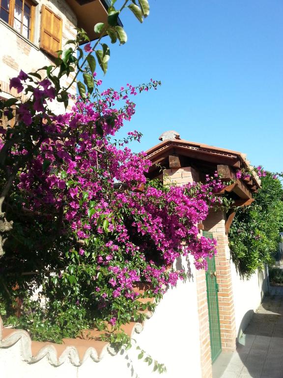 A garden outside Villa Il Fortino