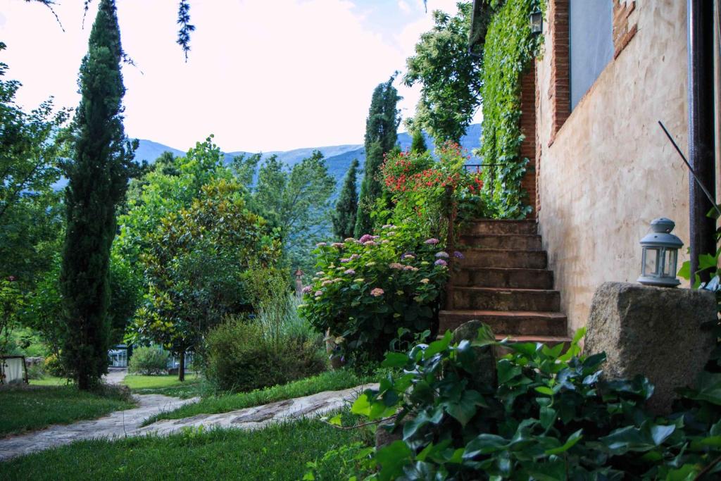 A garden outside Finca El Carpintero