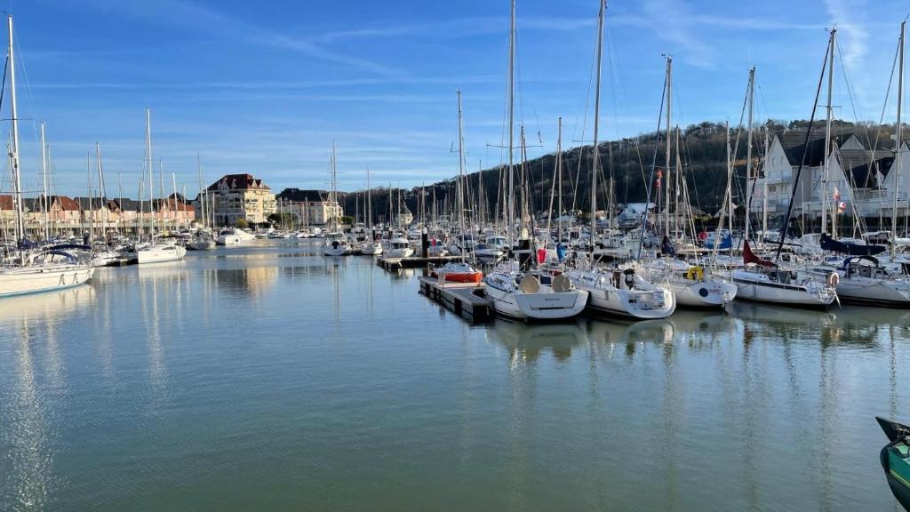 Un montón de barcos están atracados en un puerto deportivo. en Petite maison plage et port de plaisance à pied, en Dives-sur-Mer