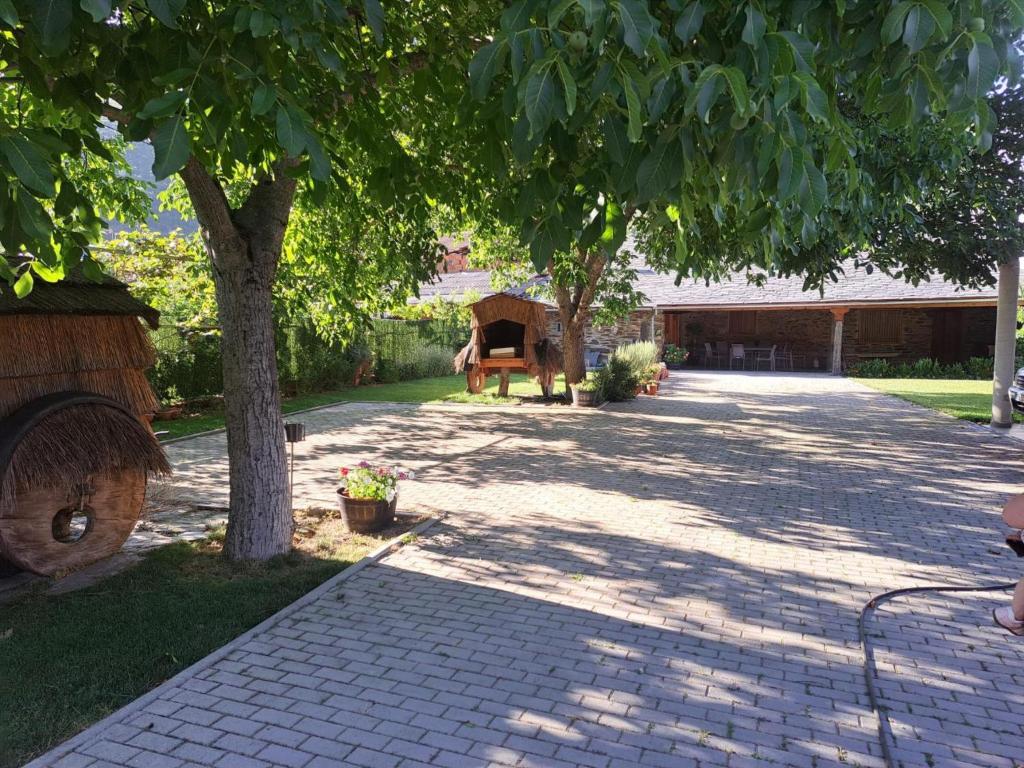 eine Auffahrt mit einem Baum und einer Bank in einem Hof in der Unterkunft Casa Dos Avós in Bragança