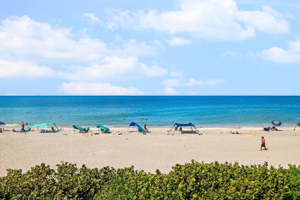 Naturlandskabet i nærheden af feriehuset