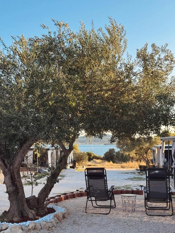 two chairs sitting under a tree next to the water at StayAdriatic Mobile Homes Olive in Sveti Filip i Jakov