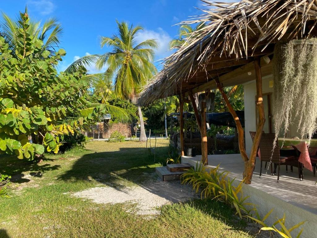 Teumuhonu Tikehau - photo 12 - Tikehau, Polynésie
