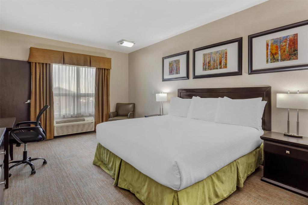 a hotel room with a large bed and a desk at Best Western Wainwright Inn & Suites in Wainwright
