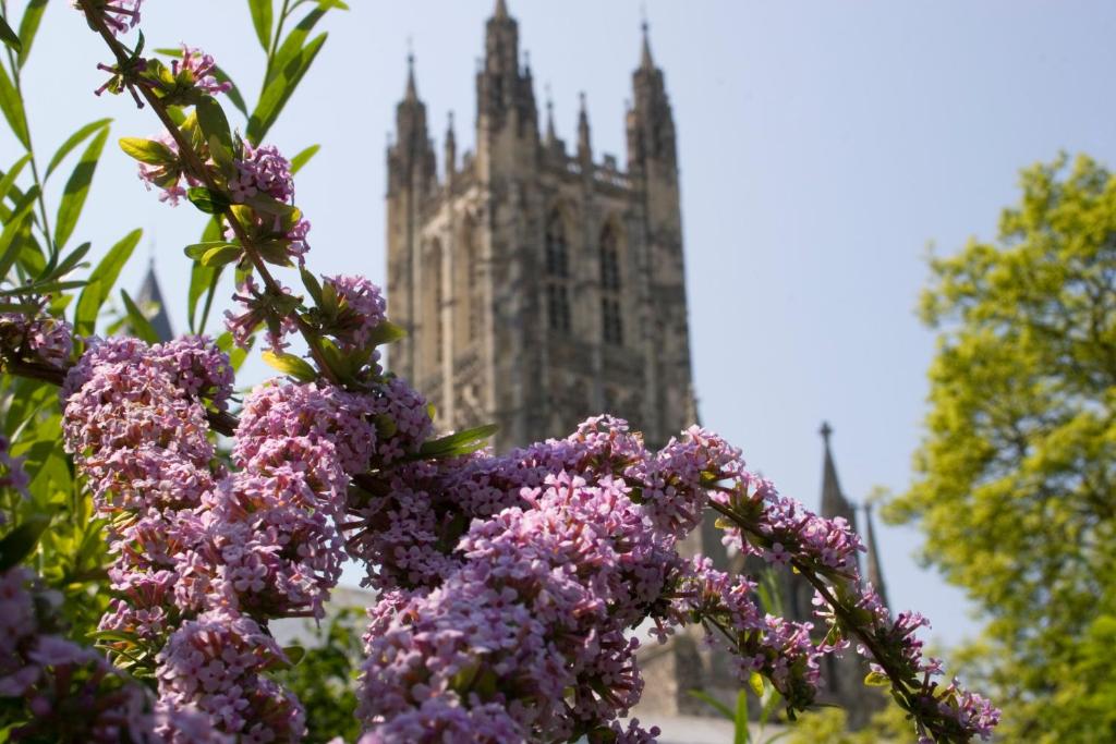 Ein Garten an der Unterkunft Canterbury Cathedral Lodge