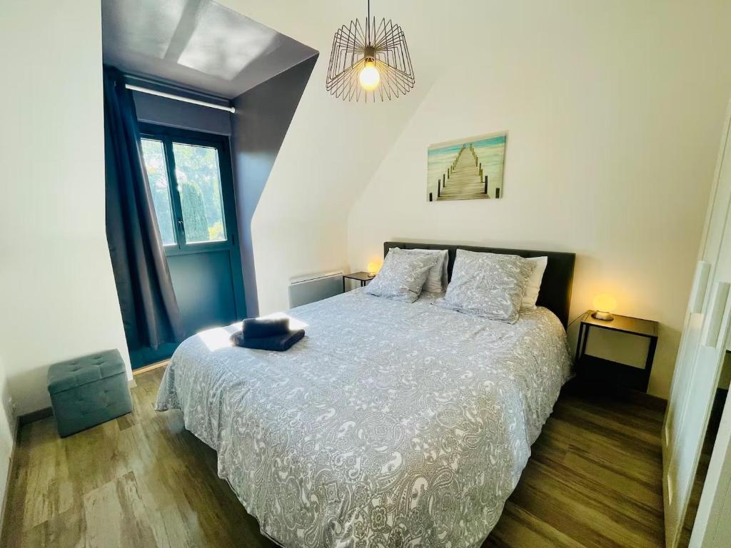 a bedroom with a large bed and a chandelier at Gites La Rifflais - Nénuphar - avec étang privé in Langrolay