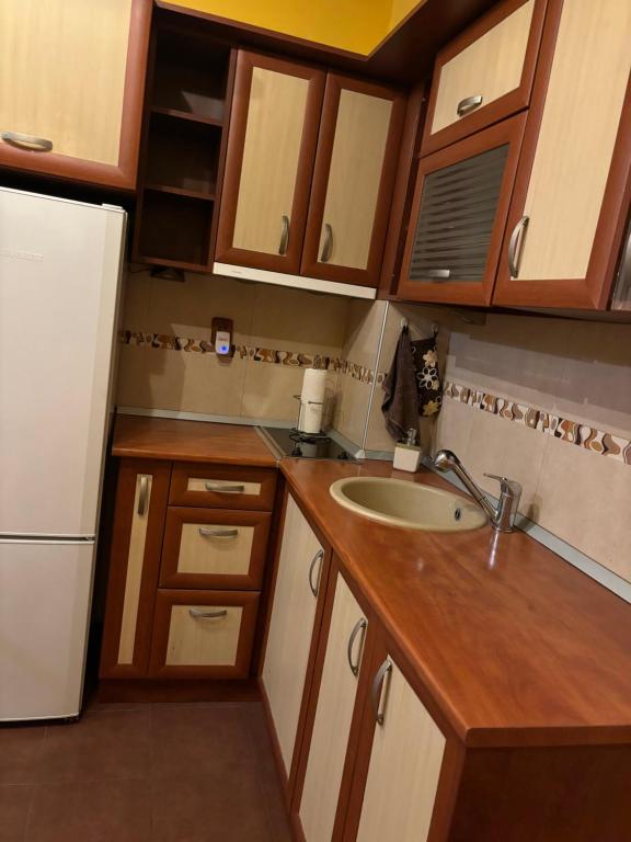 une petite cuisine avec un évier et un réfrigérateur dans l'établissement Galina apartment, à Ruse