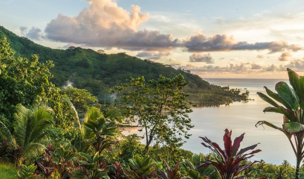 RAIATEA - Fare Apetahi - photo 5 - Raiatea, Polynésie