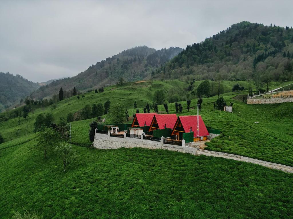 Příroda nedaleko apartmánu