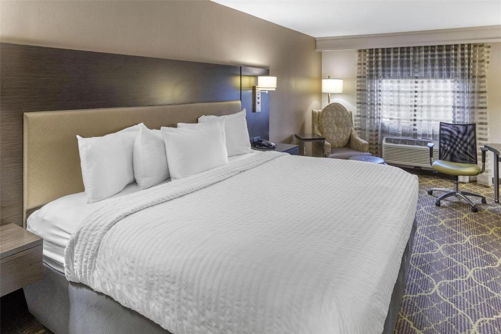 Best Western Plus Clemson Hotel & Conference Center - Habitación Con Cama Extragrande - No Fumadores