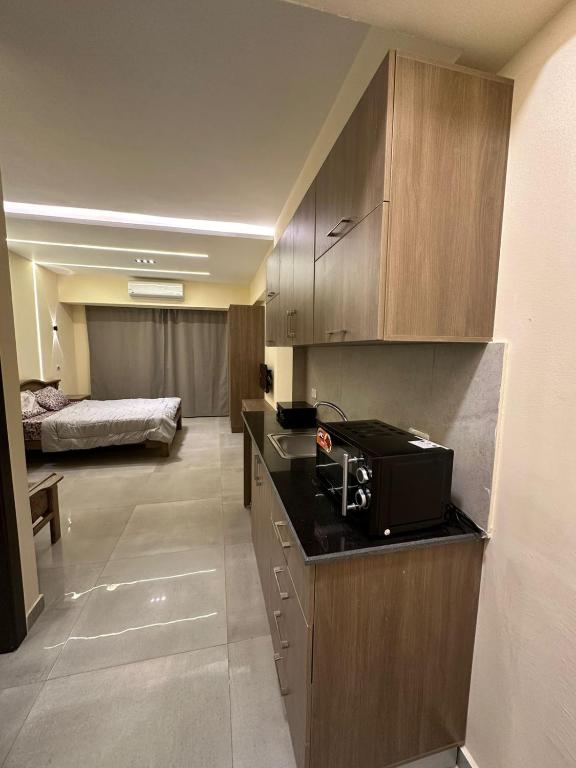 Bahga Palace 1 Residential Apartments - 19