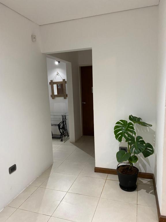 サン・ペドロにあるCiudad Abierta San Pedro Bs Asの廊下