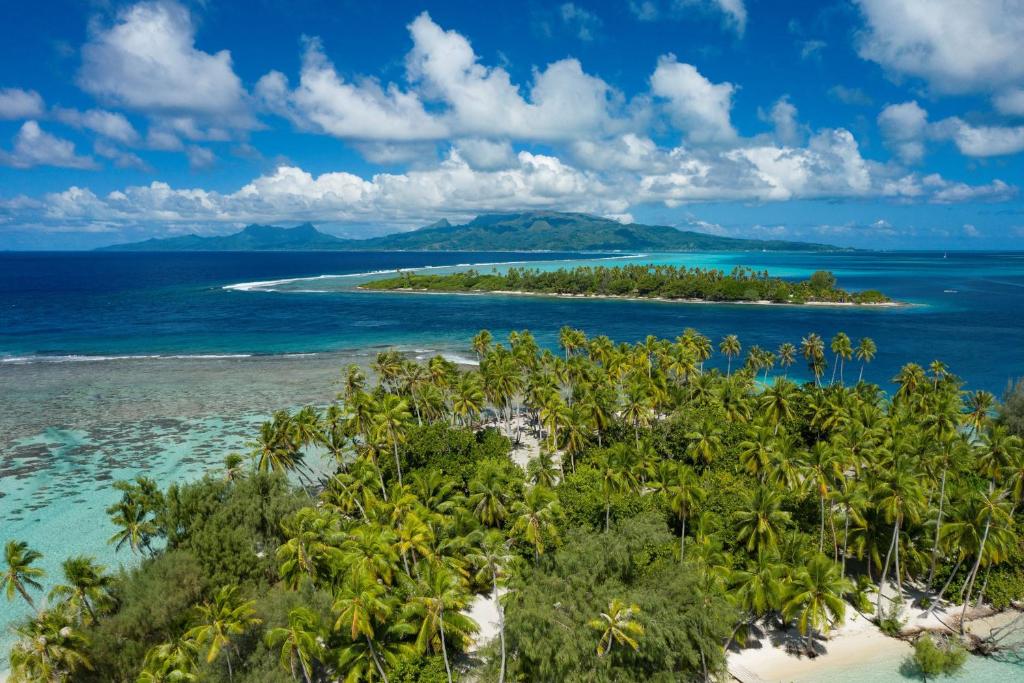 RAIATEA - Fare Coco - photo 8 - Raiatea, Polynésie