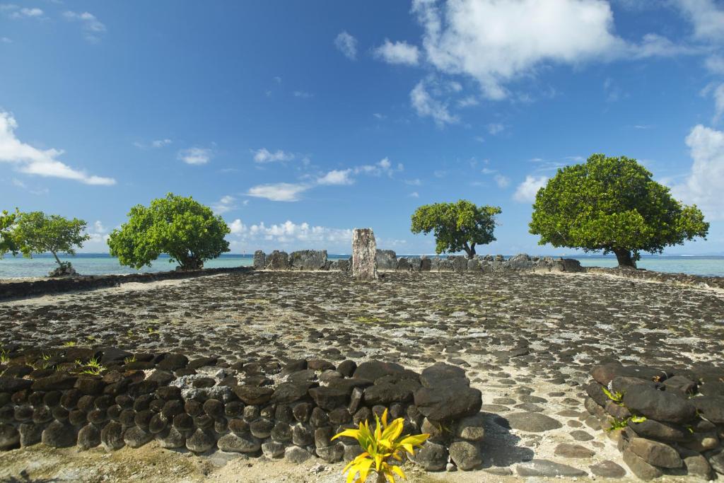 RAIATEA - Fare Coco - photo 11 - Raiatea, Polynésie