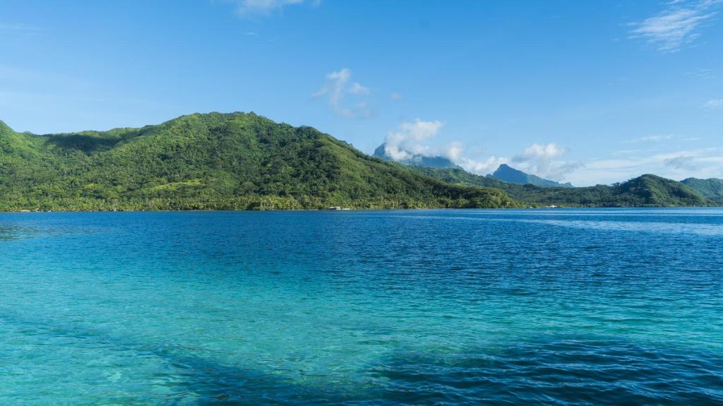 RAIATEA - Fare Fetii - photo 12 - Raiatea, Polynésie