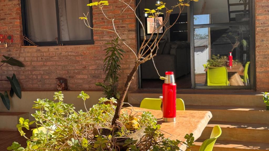 una bottiglia rossa appoggiata su un tavolo accanto ad alcune piante di Casa de Toto 3 habitaciones a Puerto Iguazú