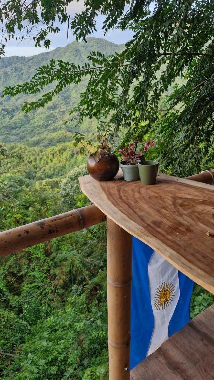 a table with some plants on it with a view at Mountain Cabin, Minca in Santa Marta