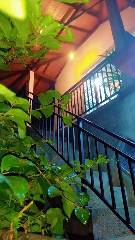 a staircase in a house with a railing at Mandara Holiday Home in Anuradhapura
