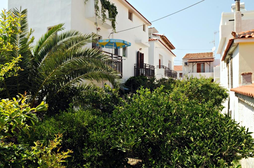 a white building with a palm tree in front of it at Dimitris studios in Kokkari