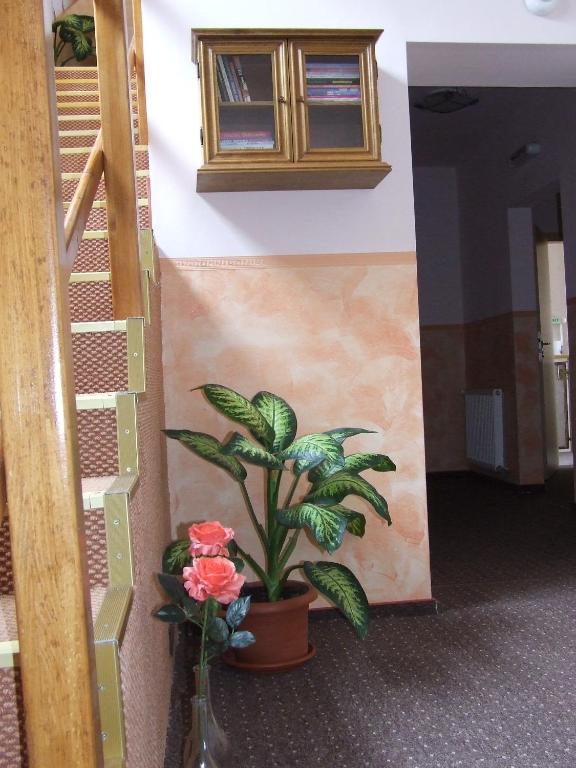 Pensiunea Caramell - Resim 43