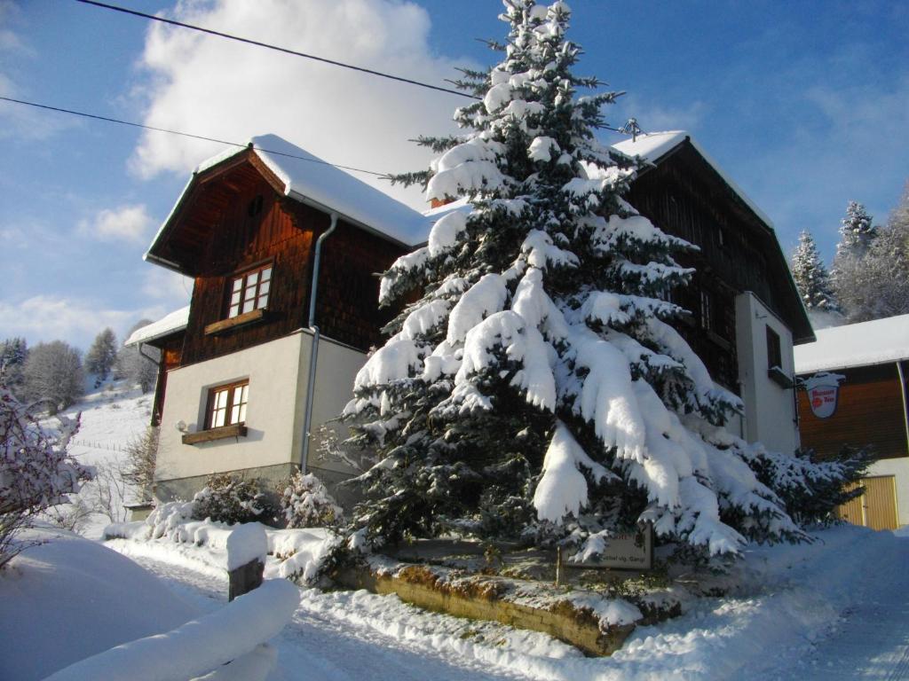 un árbol de Navidad cubierto de nieve frente a una casa en Gasthof Gangl, en Schöder