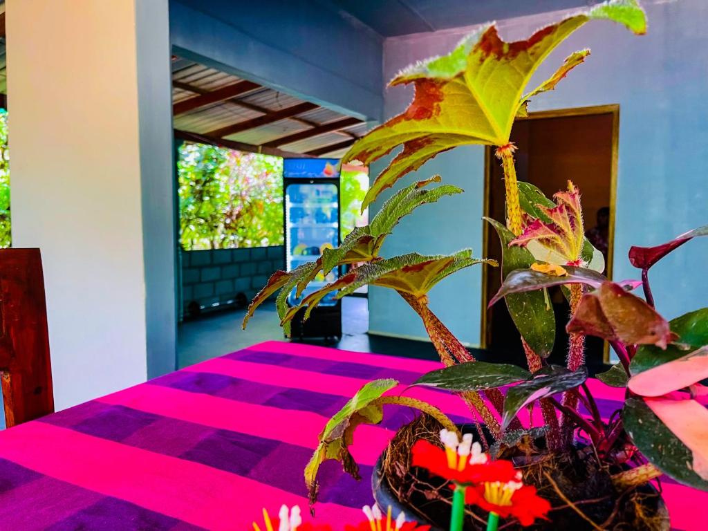 Sigiri Sandilu Homestay - 4